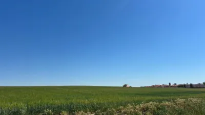 Rustic farm in Medina del Campo photo 7